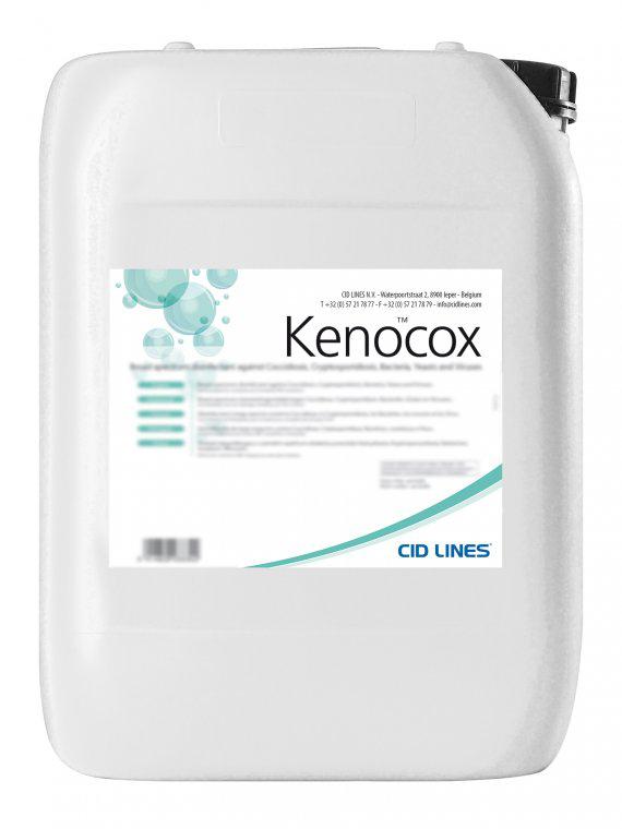 KENOCOX CLEANER 10 LT