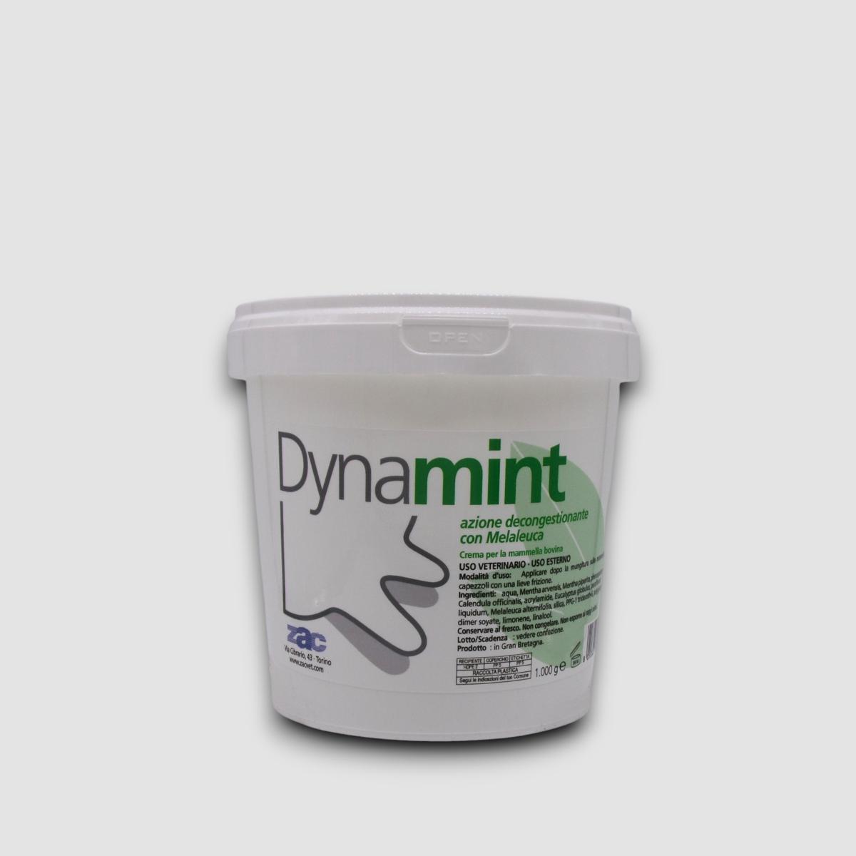DYNAMINT 1KG.