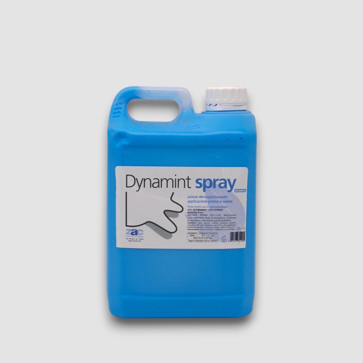 DYNAMINT SPRAY RIC. CONF.2,5 lt.